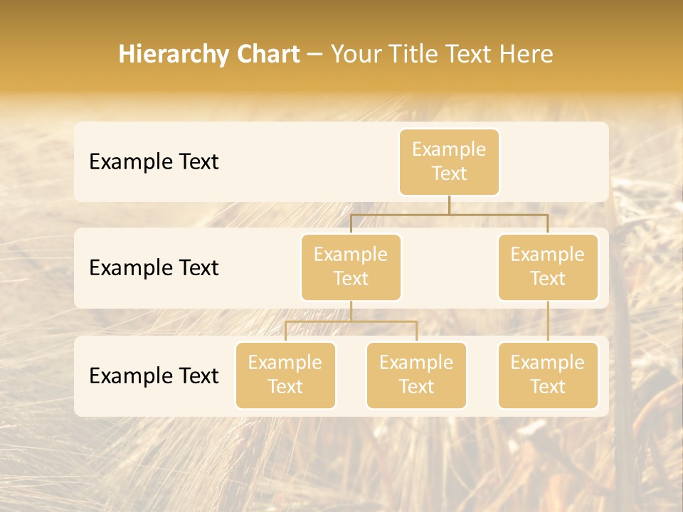 Food Summer Cornfield PowerPoint Template