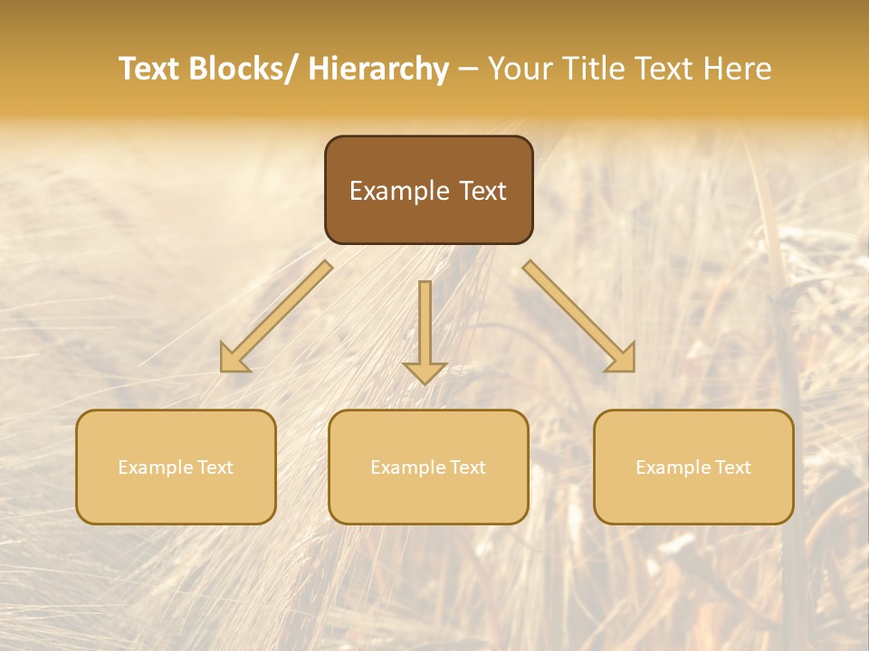 Food Summer Cornfield PowerPoint Template