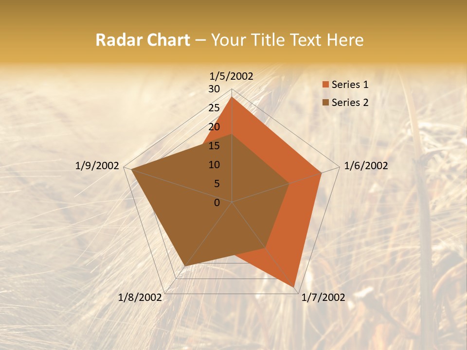 Food Summer Cornfield PowerPoint Template