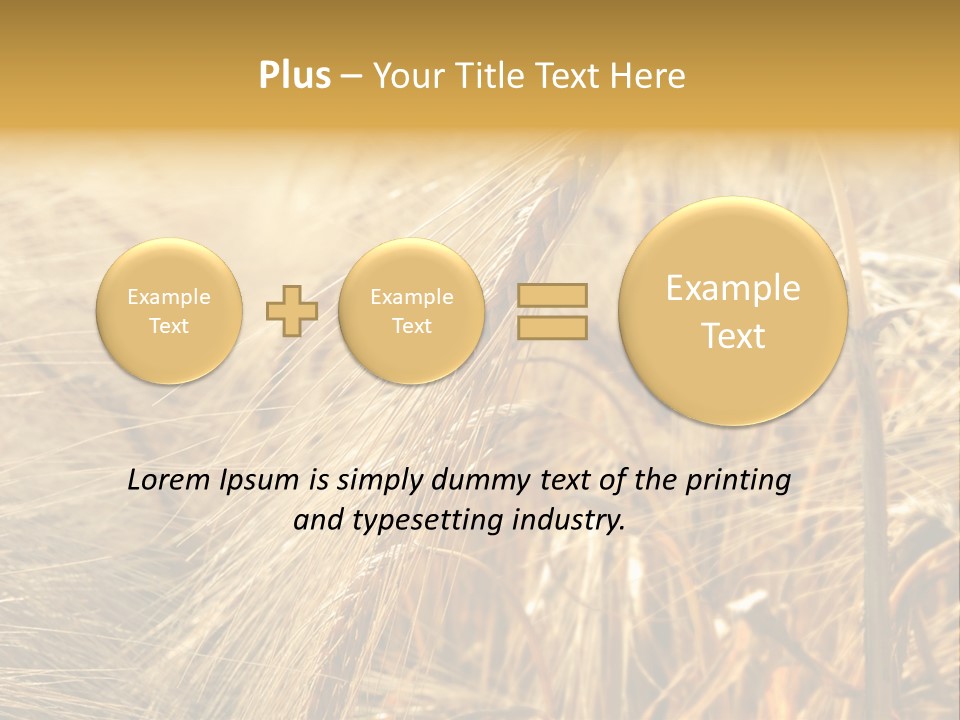 Food Summer Cornfield PowerPoint Template