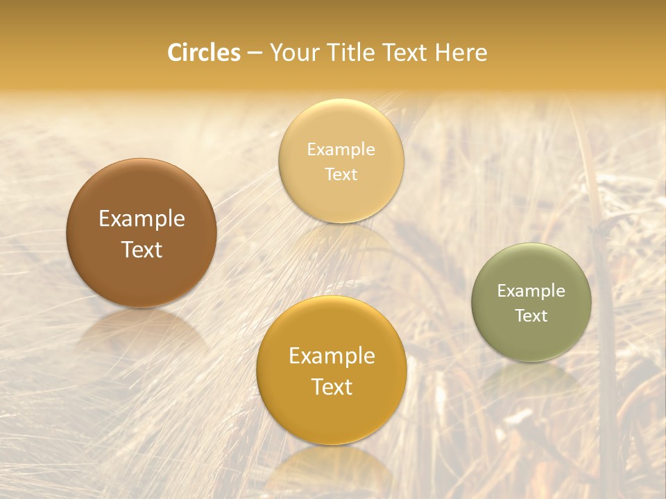 Food Summer Cornfield PowerPoint Template