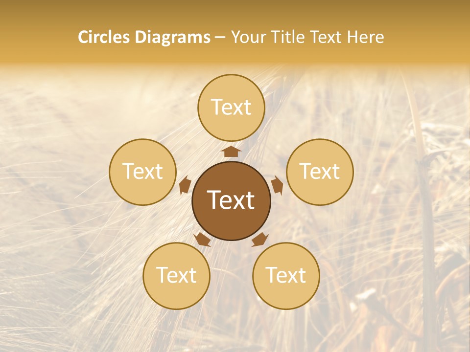 Food Summer Cornfield PowerPoint Template