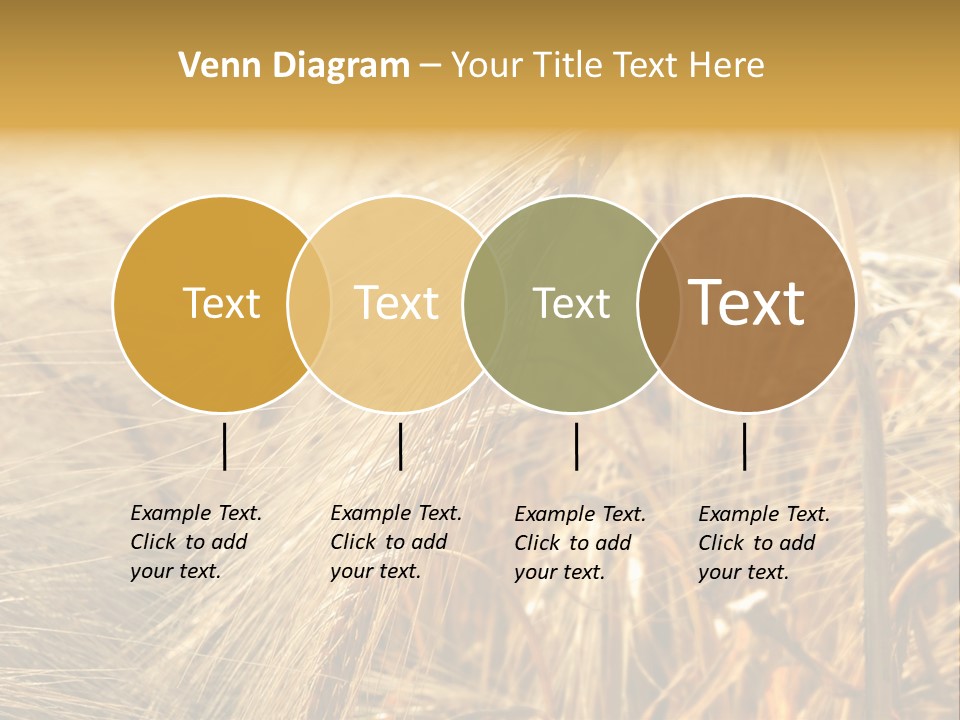 Food Summer Cornfield PowerPoint Template