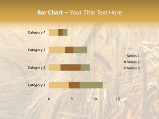 Food Summer Cornfield PowerPoint Template