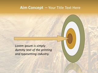 Food Summer Cornfield PowerPoint Template