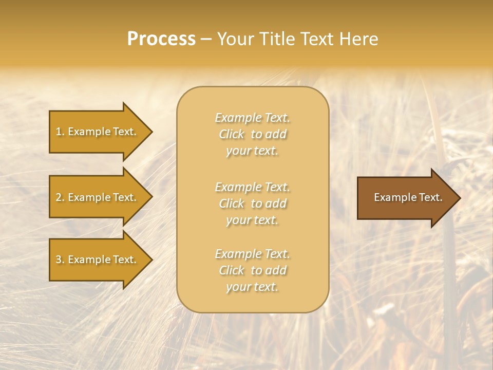 Food Summer Cornfield PowerPoint Template