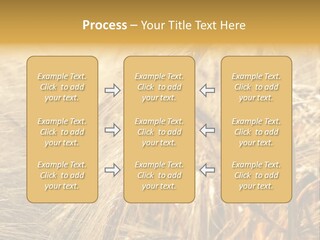 Food Summer Cornfield PowerPoint Template