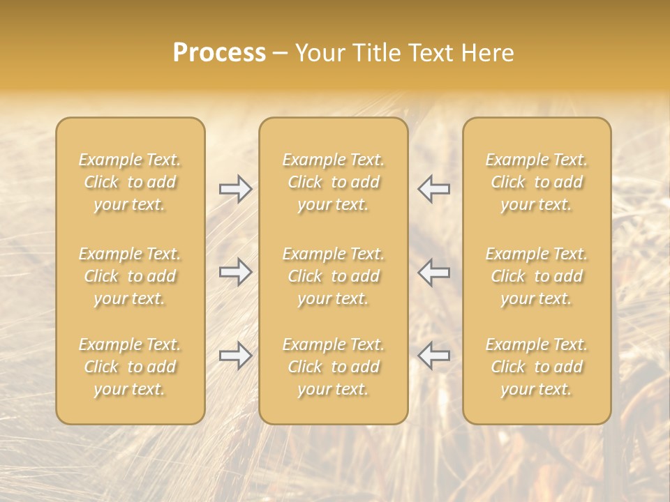 Food Summer Cornfield PowerPoint Template
