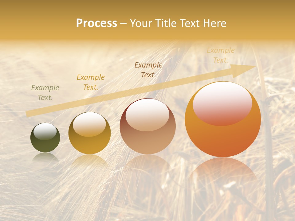 Food Summer Cornfield PowerPoint Template