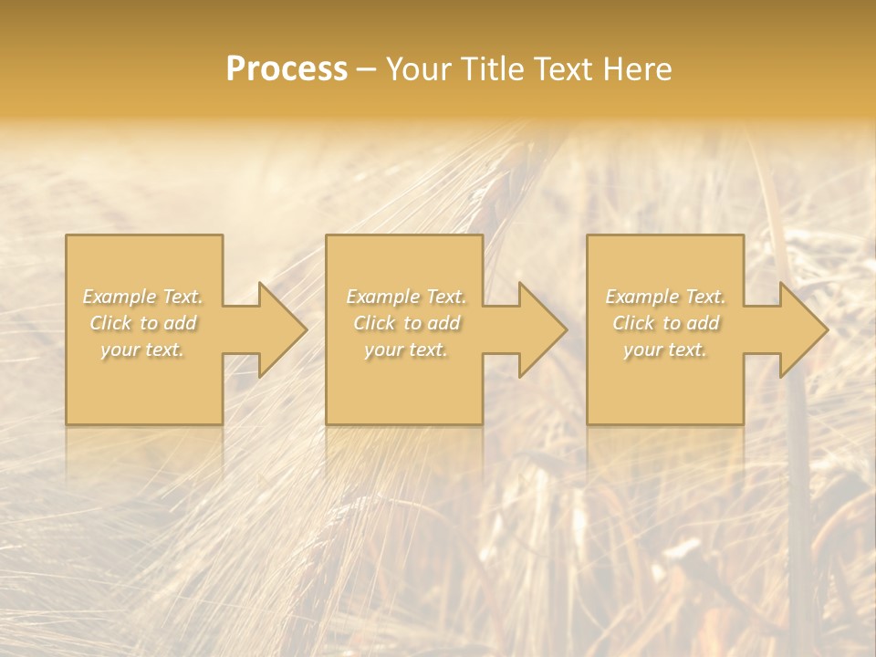 Food Summer Cornfield PowerPoint Template
