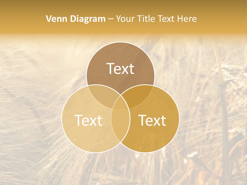 Food Summer Cornfield PowerPoint Template