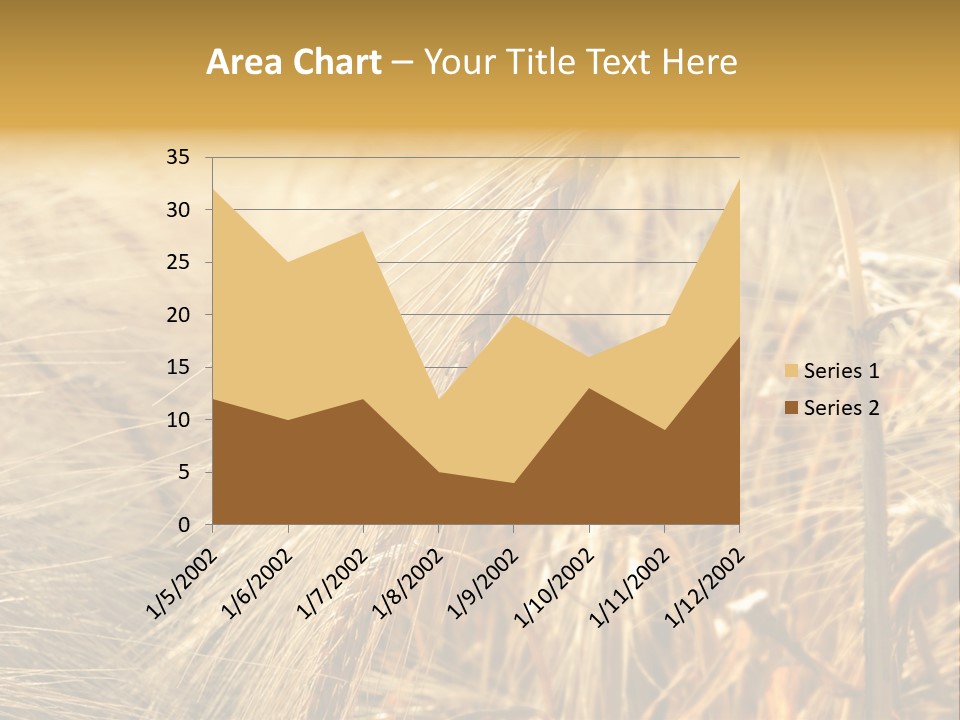 Food Summer Cornfield PowerPoint Template
