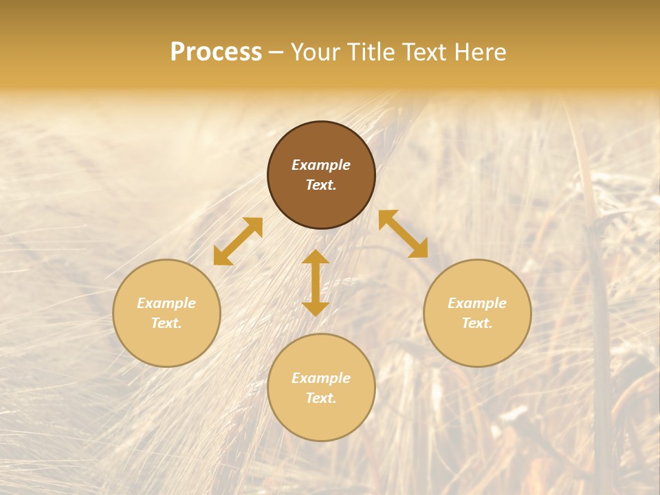 Food Summer Cornfield PowerPoint Template