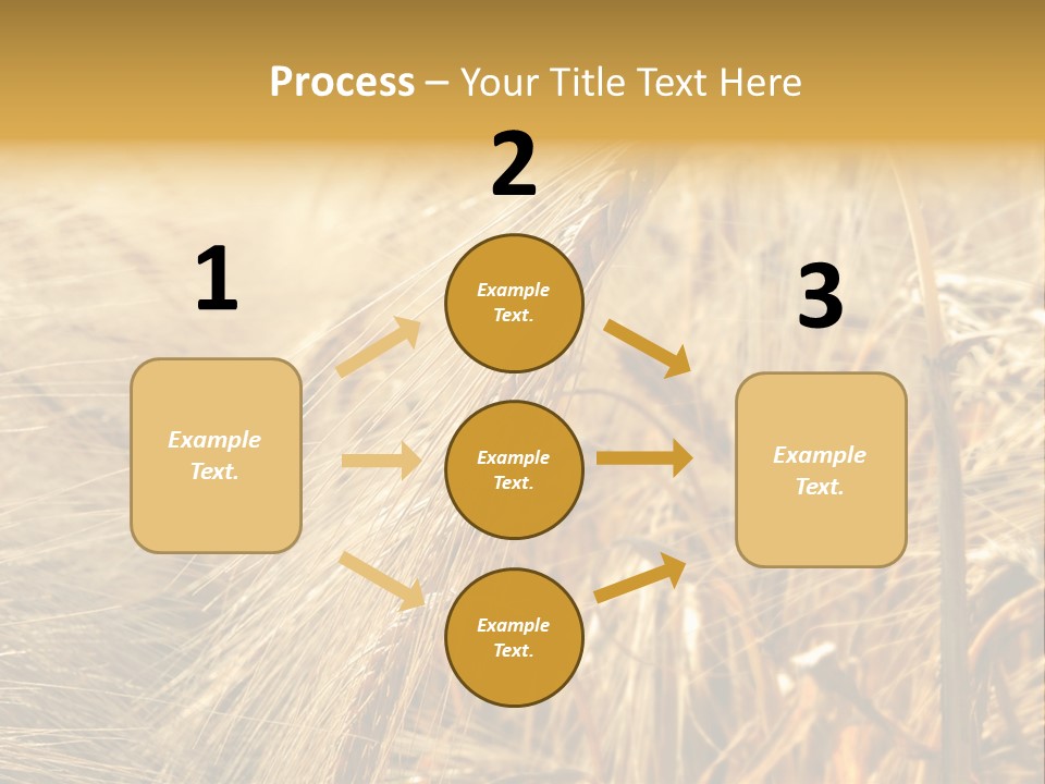 Food Summer Cornfield PowerPoint Template