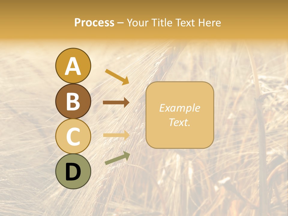 Food Summer Cornfield PowerPoint Template