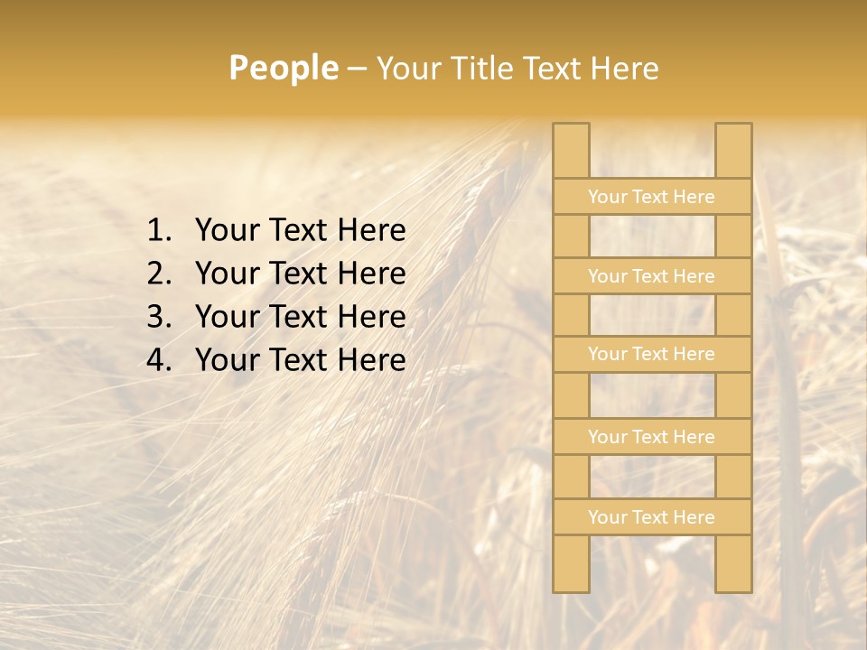 Food Summer Cornfield PowerPoint Template
