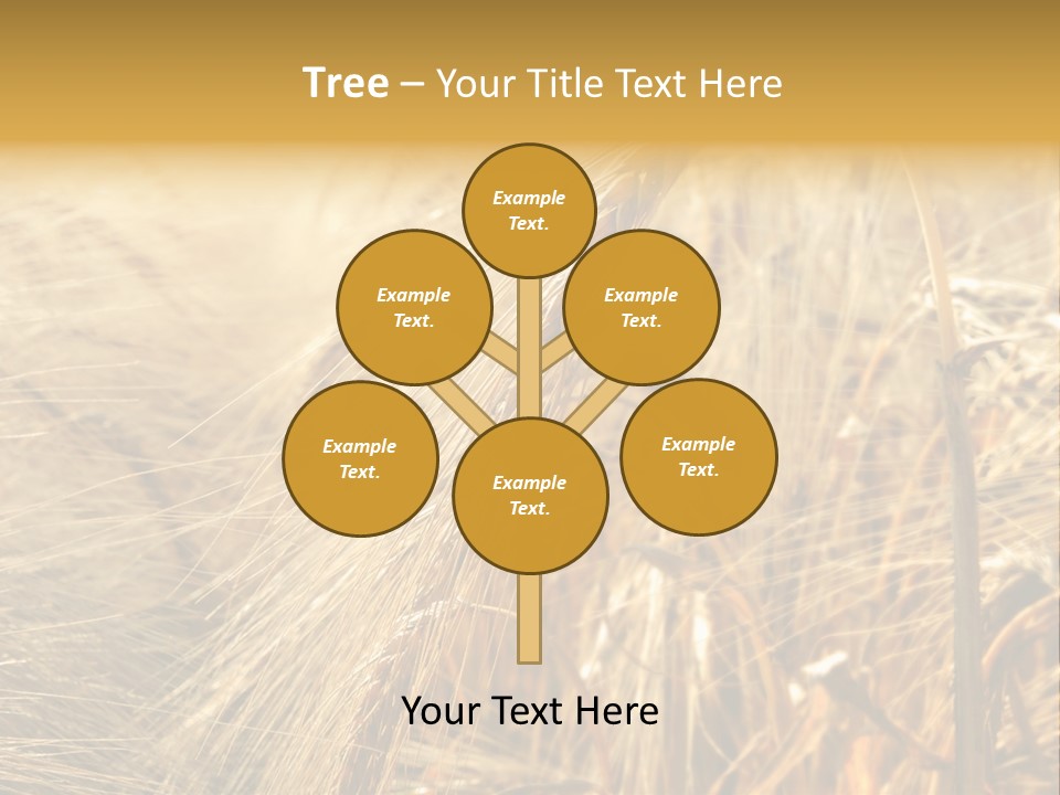 Food Summer Cornfield PowerPoint Template