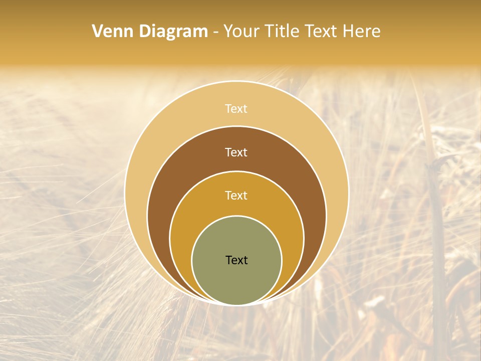 Food Summer Cornfield PowerPoint Template