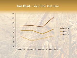 Food Summer Cornfield PowerPoint Template