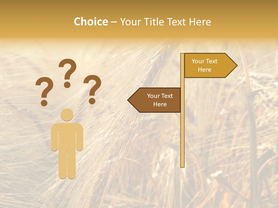 Food Summer Cornfield PowerPoint Template