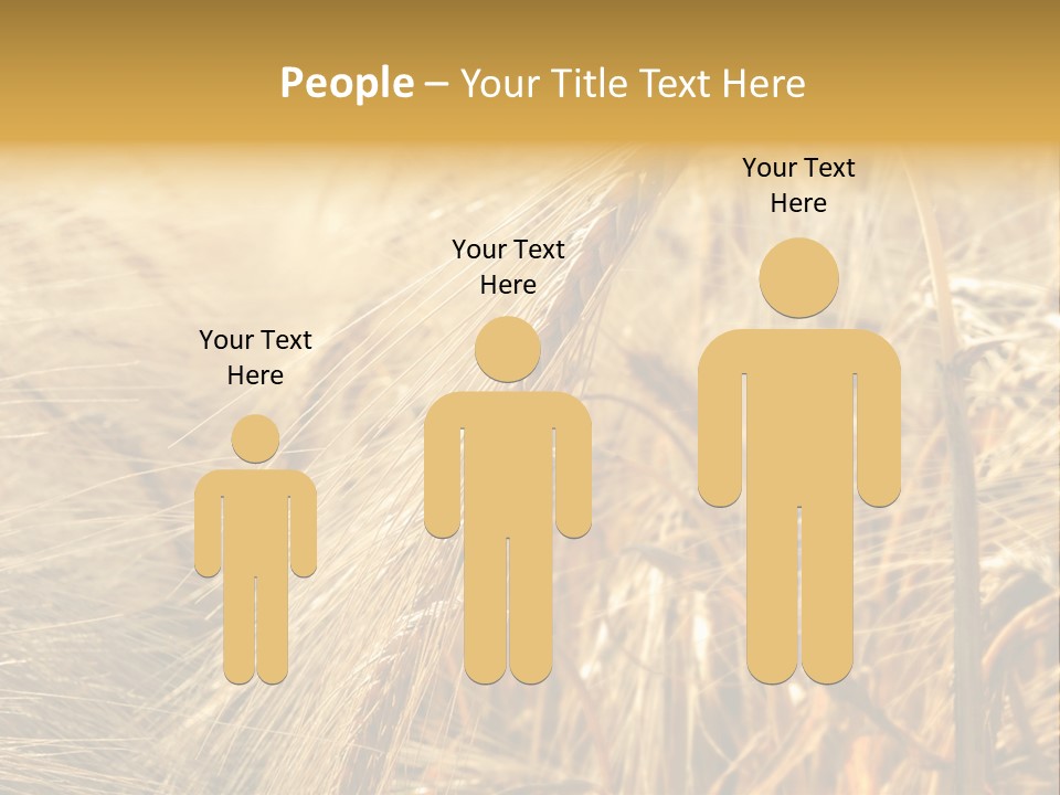 Food Summer Cornfield PowerPoint Template