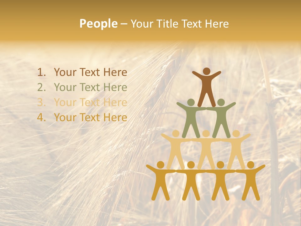 Food Summer Cornfield PowerPoint Template