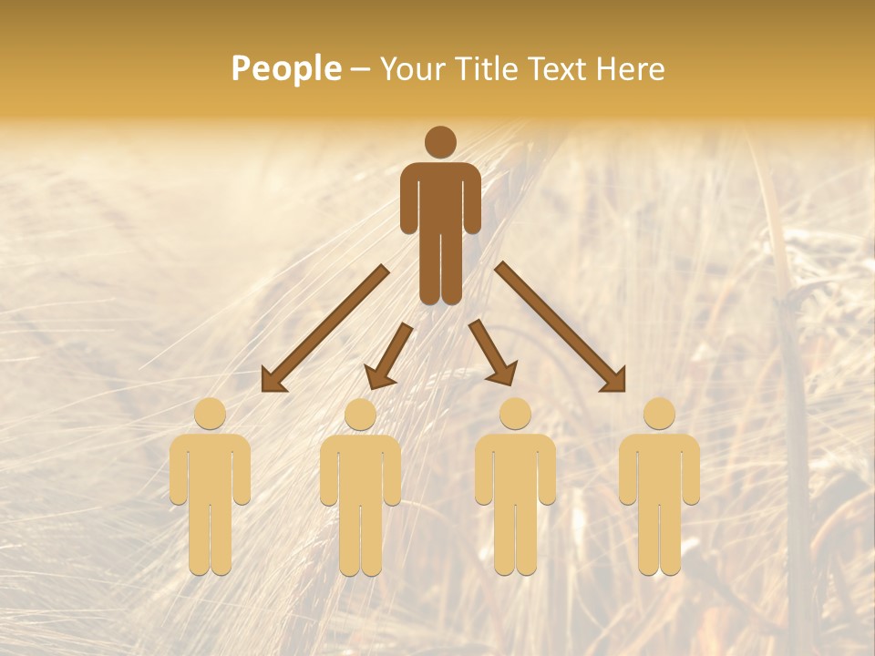 Food Summer Cornfield PowerPoint Template