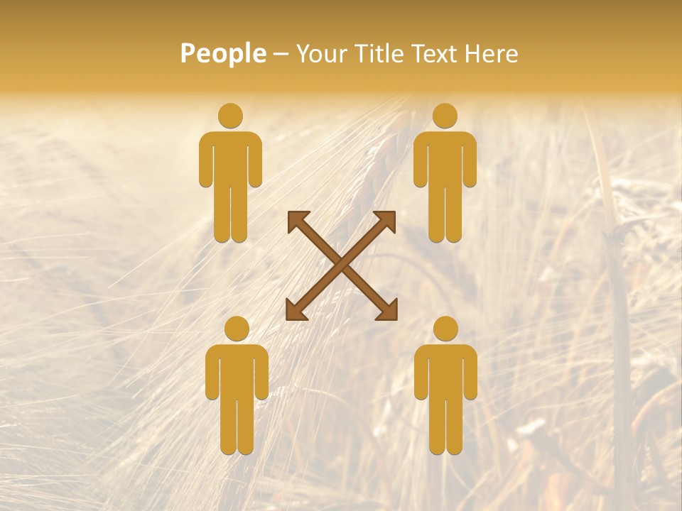 Food Summer Cornfield PowerPoint Template