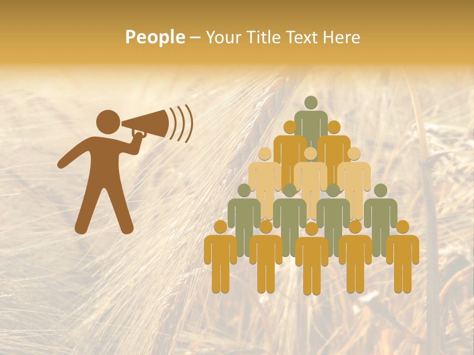 Food Summer Cornfield PowerPoint Template