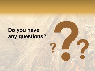 Food Summer Cornfield PowerPoint Template