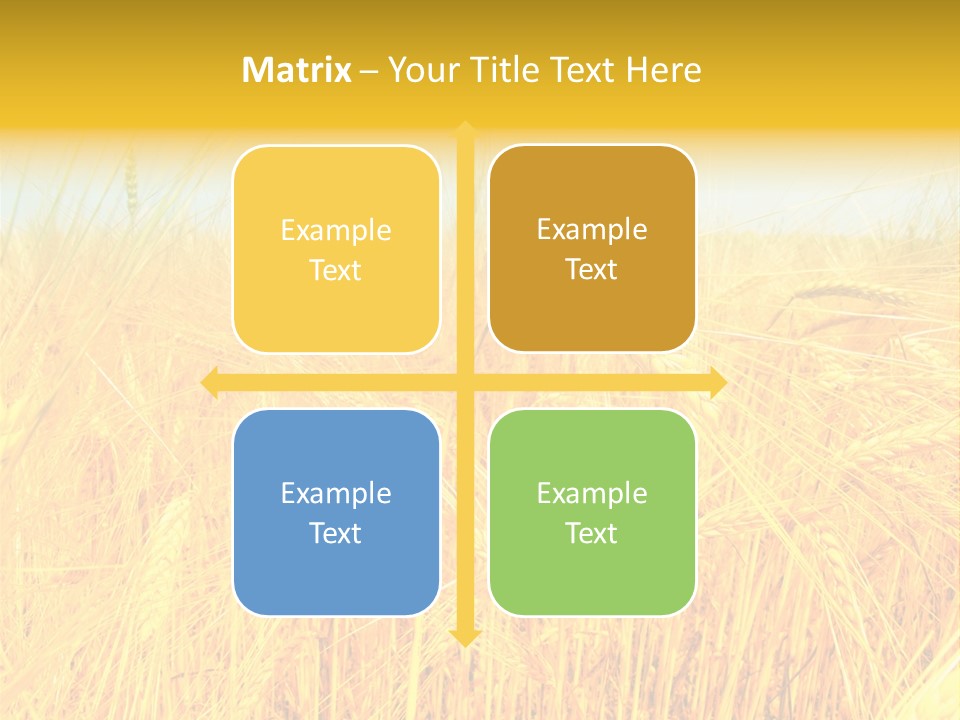 Field Barley Wheat PowerPoint Template