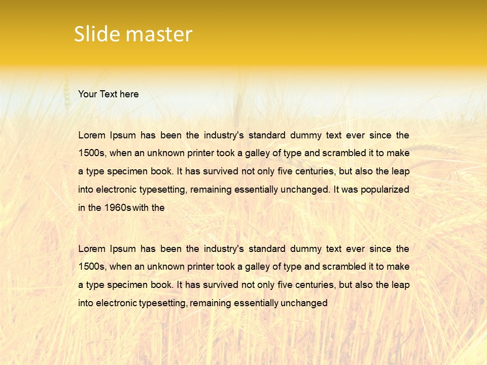 Field Barley Wheat PowerPoint Template