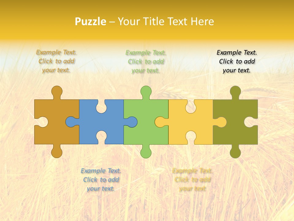 Field Barley Wheat PowerPoint Template