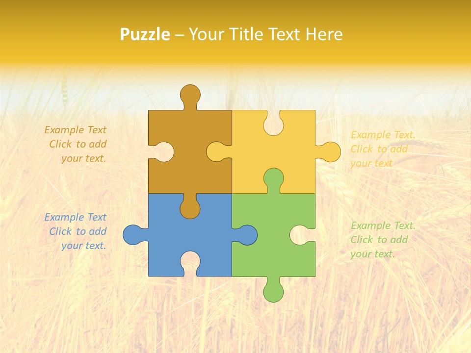 Field Barley Wheat PowerPoint Template