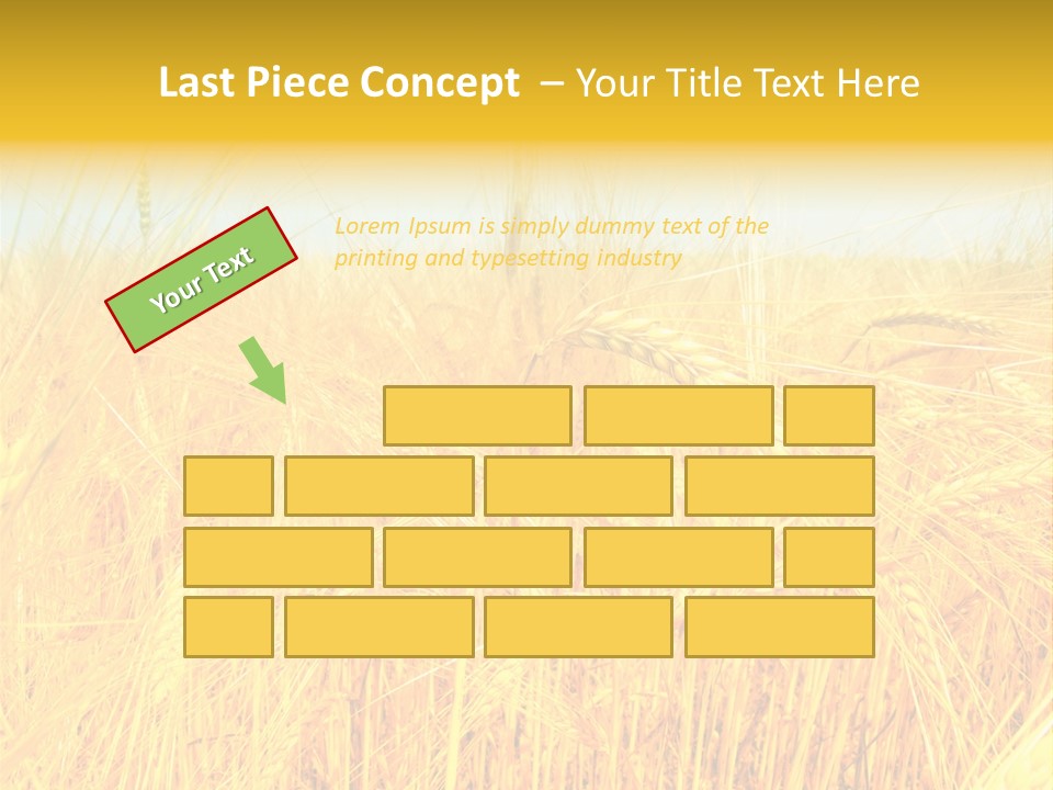 Field Barley Wheat PowerPoint Template