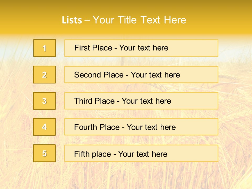 Field Barley Wheat PowerPoint Template