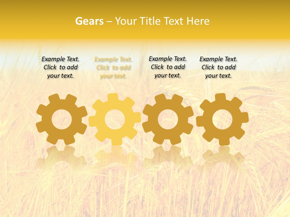 Field Barley Wheat PowerPoint Template