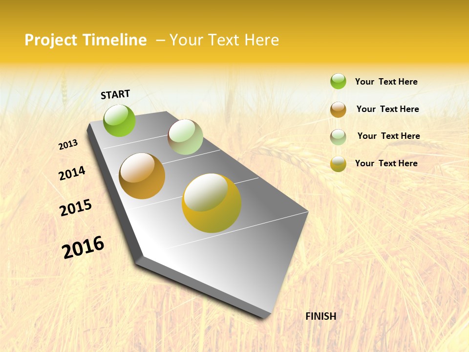 Field Barley Wheat PowerPoint Template