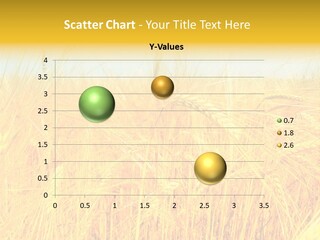 Field Barley Wheat PowerPoint Template