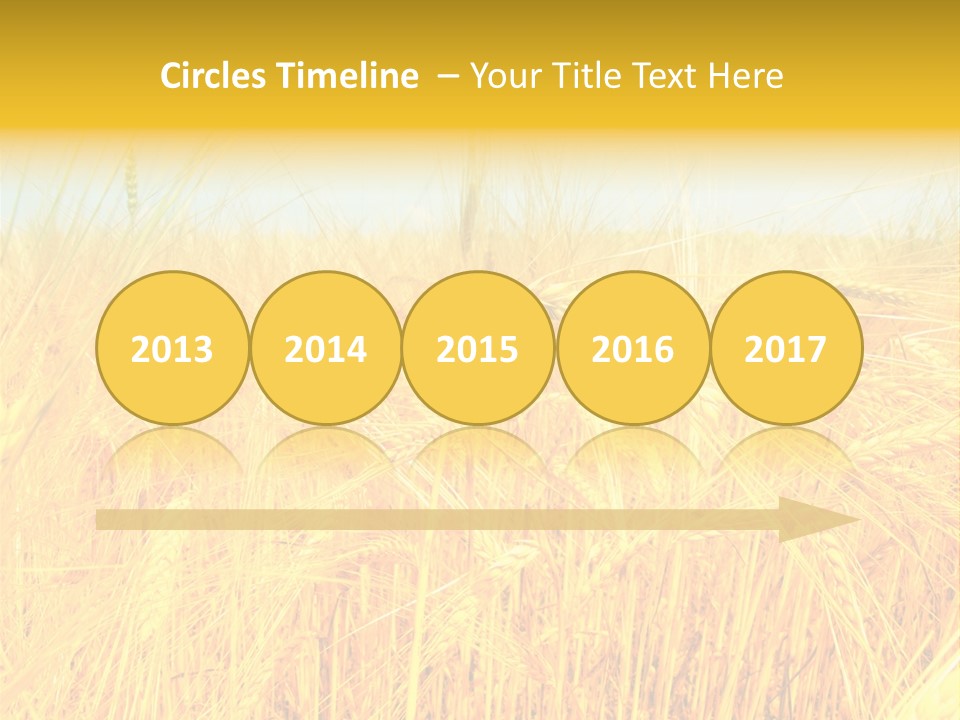 Field Barley Wheat PowerPoint Template