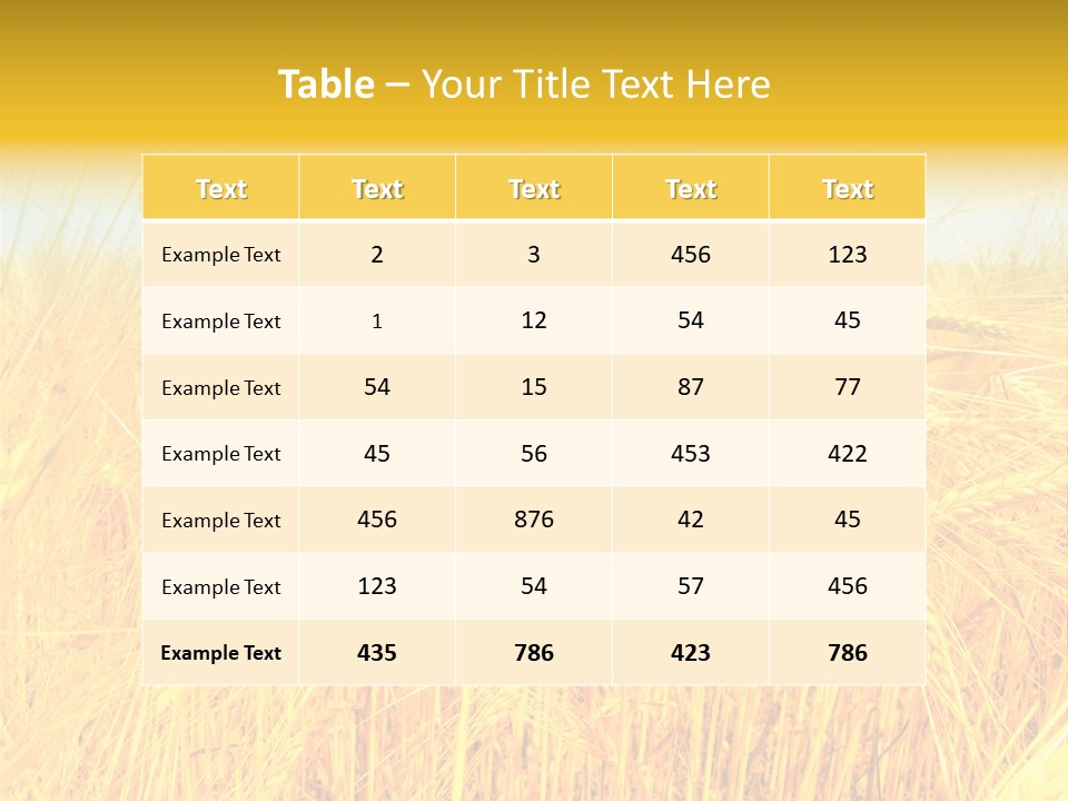 Field Barley Wheat PowerPoint Template