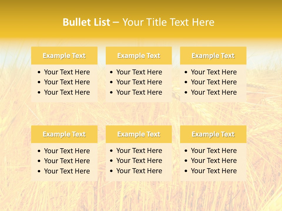 Field Barley Wheat PowerPoint Template