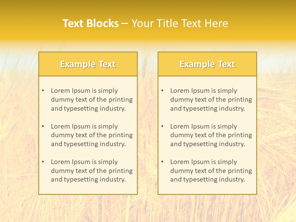 Field Barley Wheat PowerPoint Template
