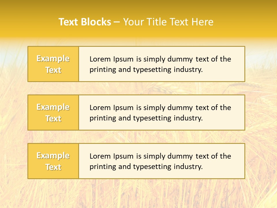 Field Barley Wheat PowerPoint Template