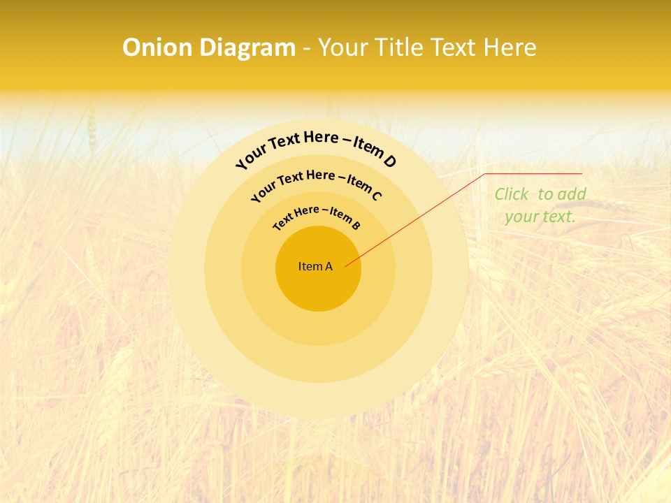 Field Barley Wheat PowerPoint Template