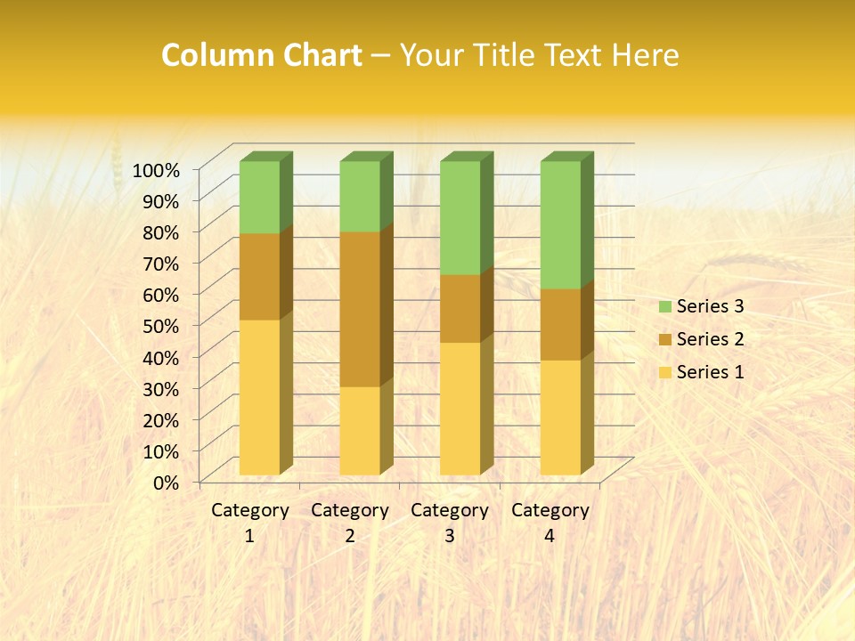 Field Barley Wheat PowerPoint Template