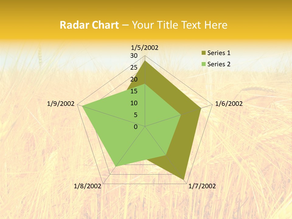 Field Barley Wheat PowerPoint Template