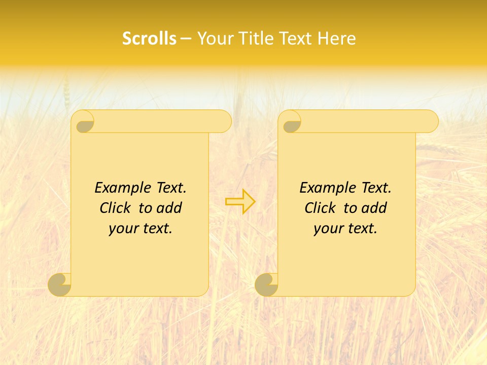 Field Barley Wheat PowerPoint Template