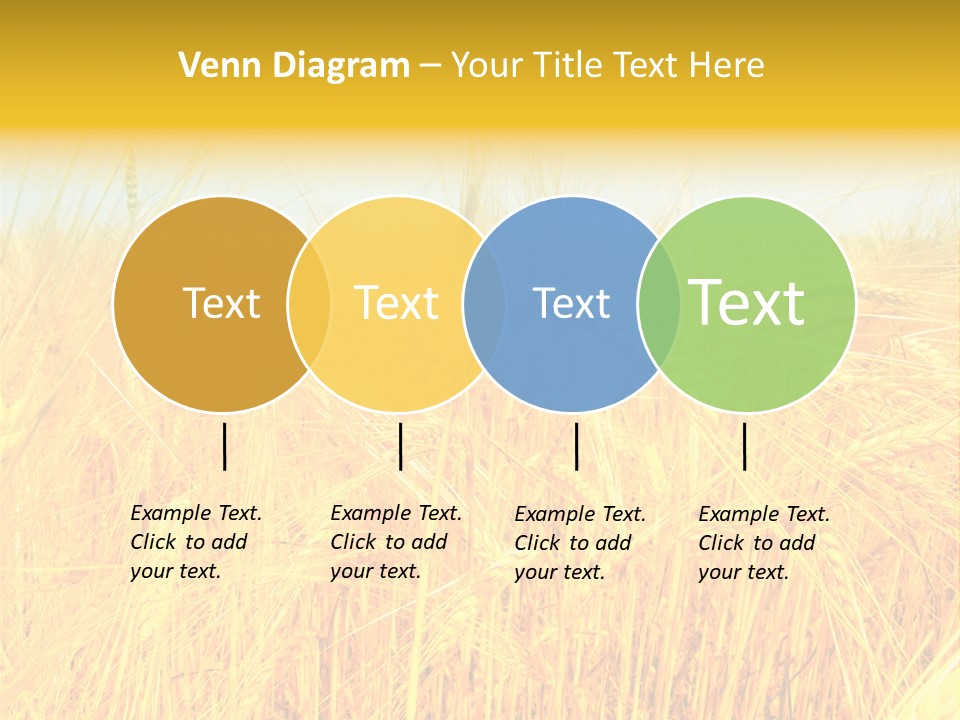 Field Barley Wheat PowerPoint Template
