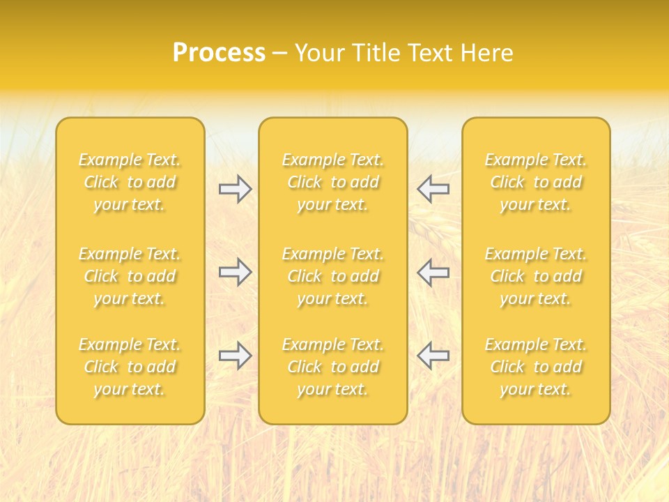 Field Barley Wheat PowerPoint Template